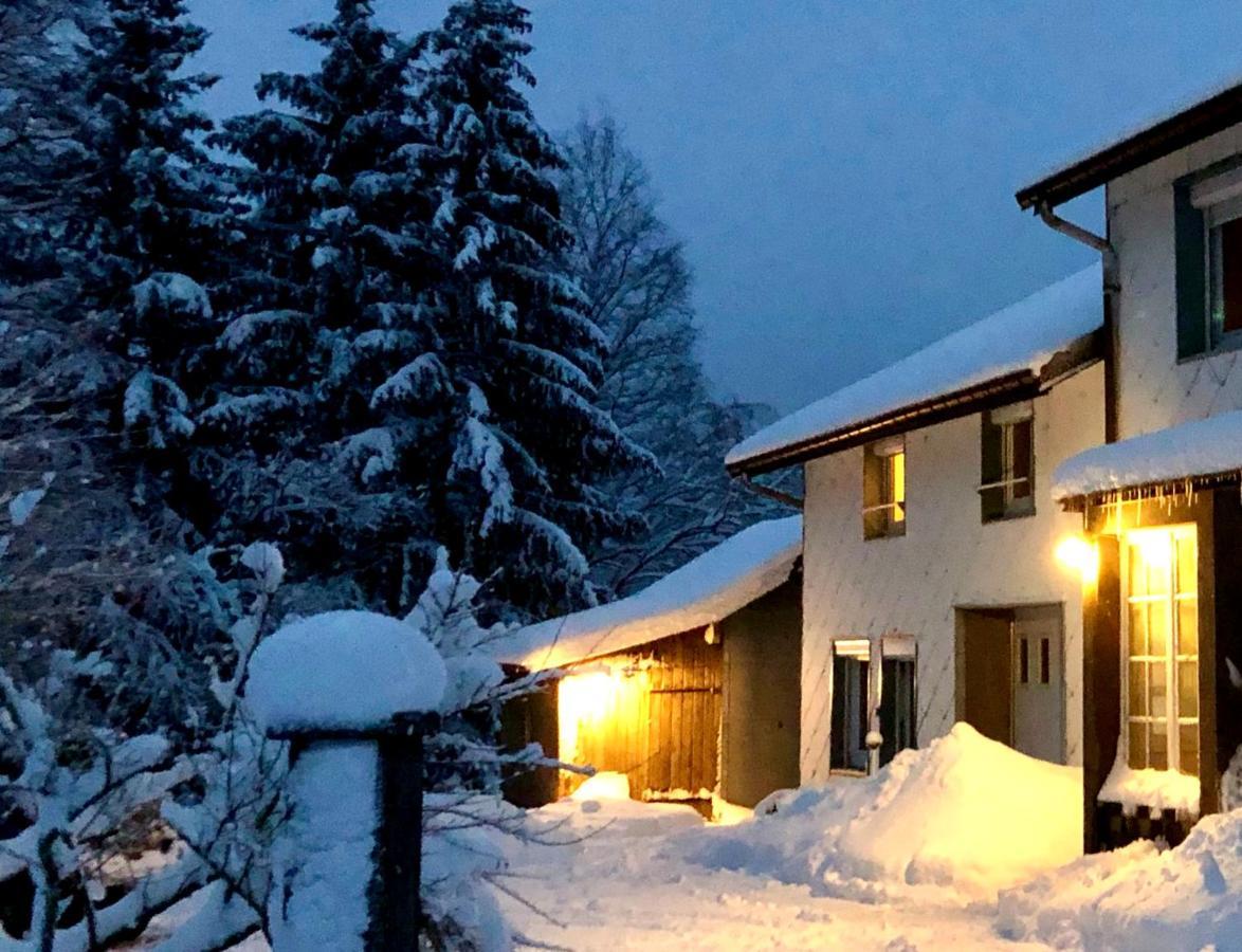 Gite Les Trois Pierres, Proche De Gerardmer Vila Liézey Exterior foto