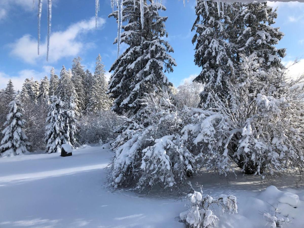 Gite Les Trois Pierres, Proche De Gerardmer Vila Liézey Exterior foto