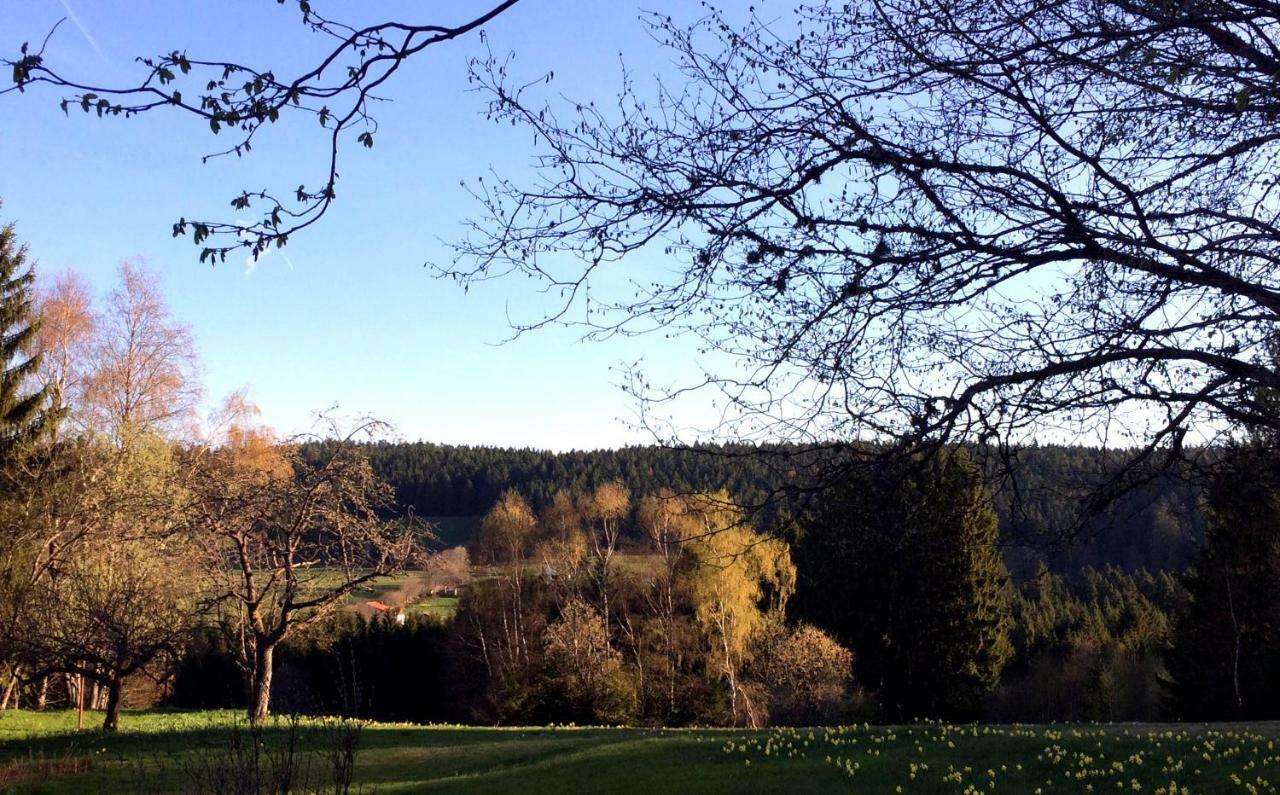 Gite Les Trois Pierres, Proche De Gerardmer Vila Liézey Exterior foto